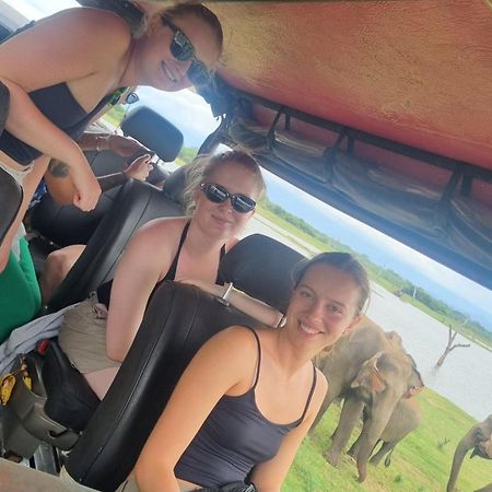 White Rose Safari Home Stay Udawalawe Zewnętrze zdjęcie