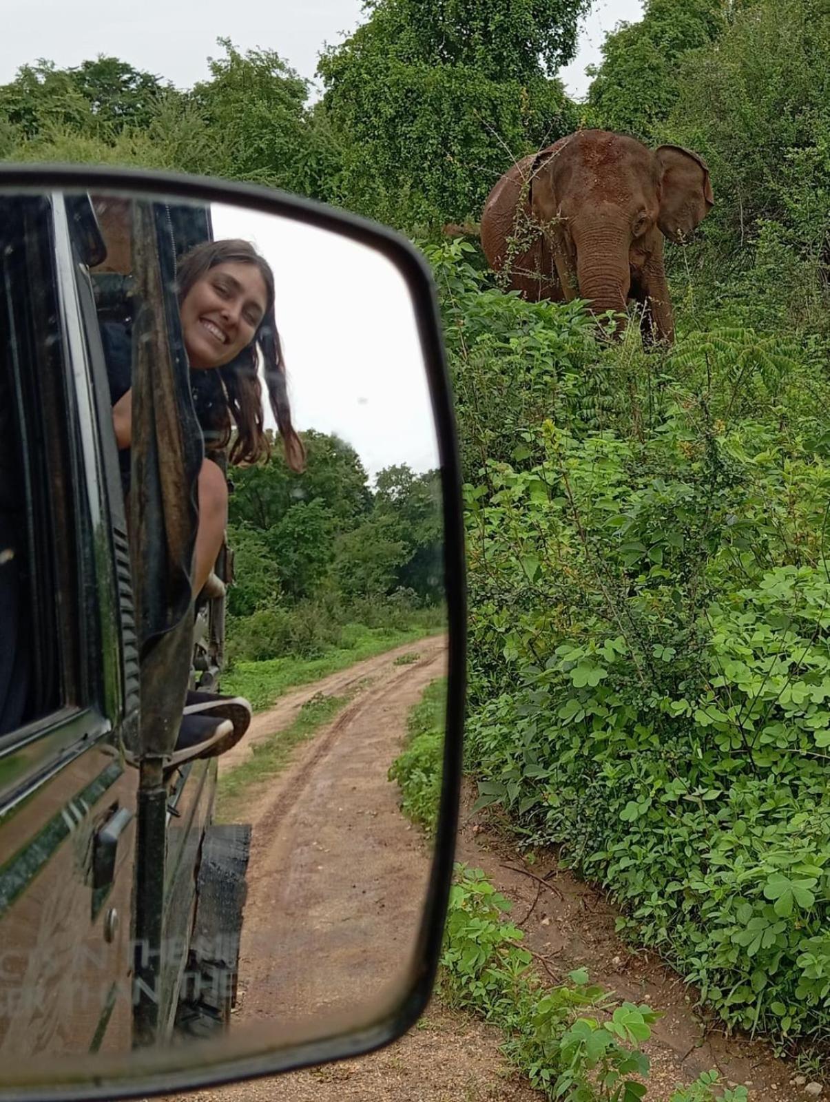 White Rose Safari Home Stay Udawalawe Zewnętrze zdjęcie