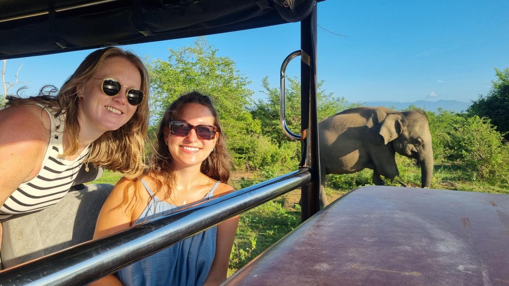 White Rose Safari Home Stay Udawalawe Zewnętrze zdjęcie