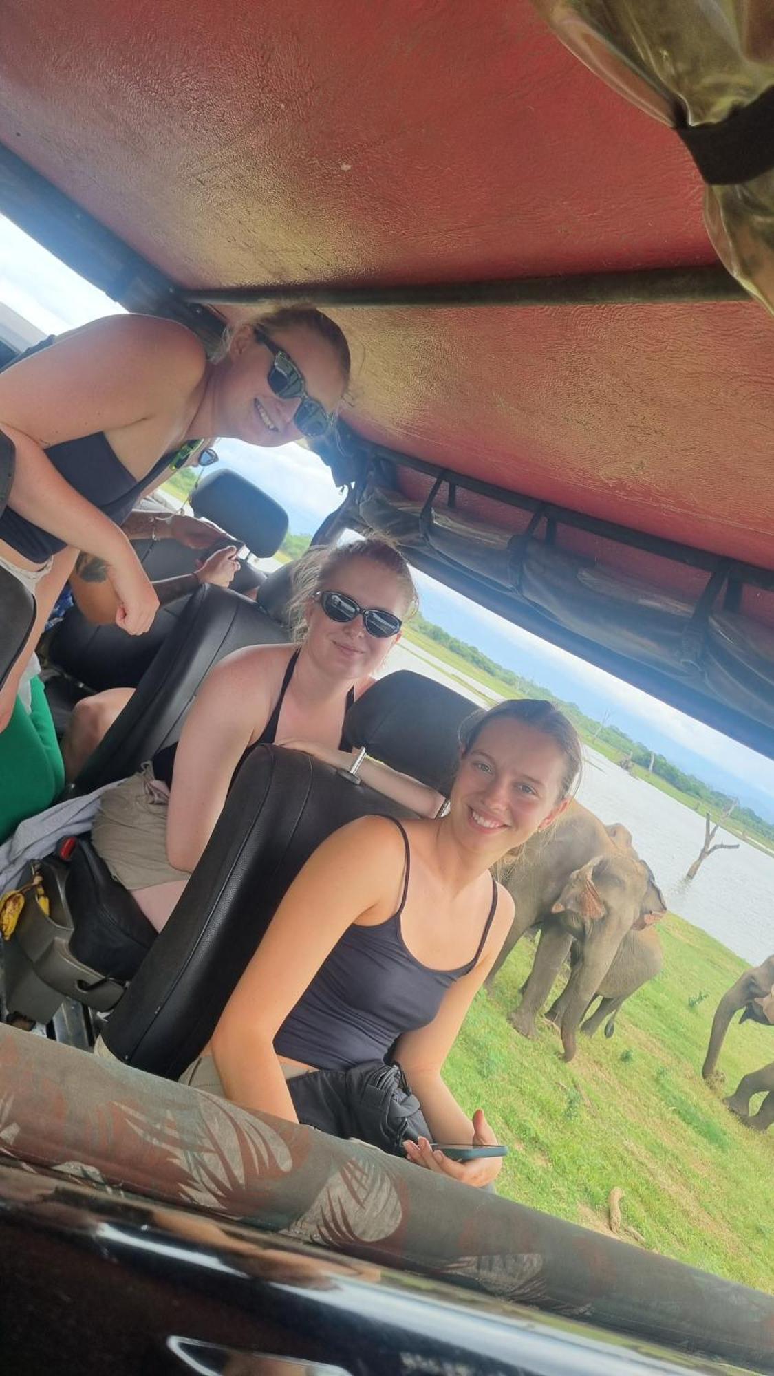 White Rose Safari Home Stay Udawalawe Zewnętrze zdjęcie