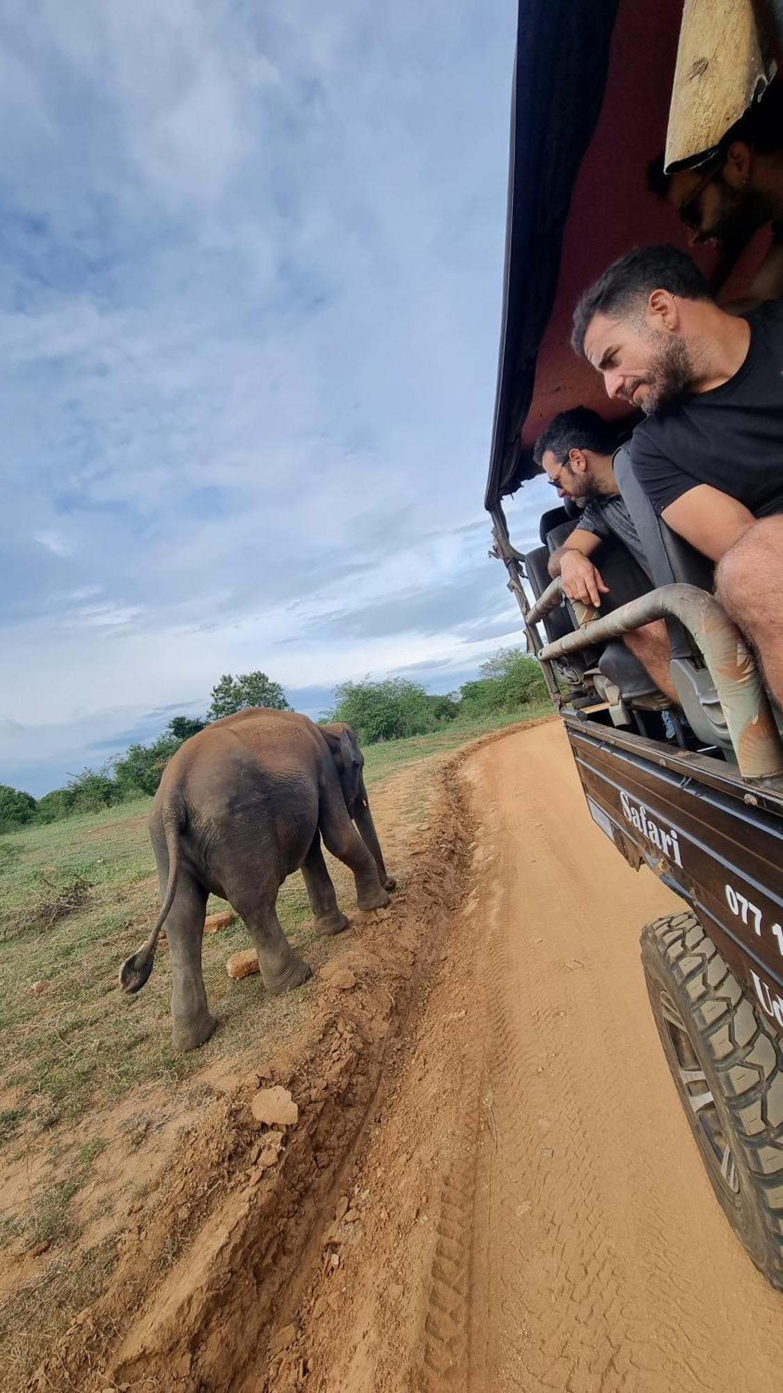 White Rose Safari Home Stay Udawalawe Zewnętrze zdjęcie