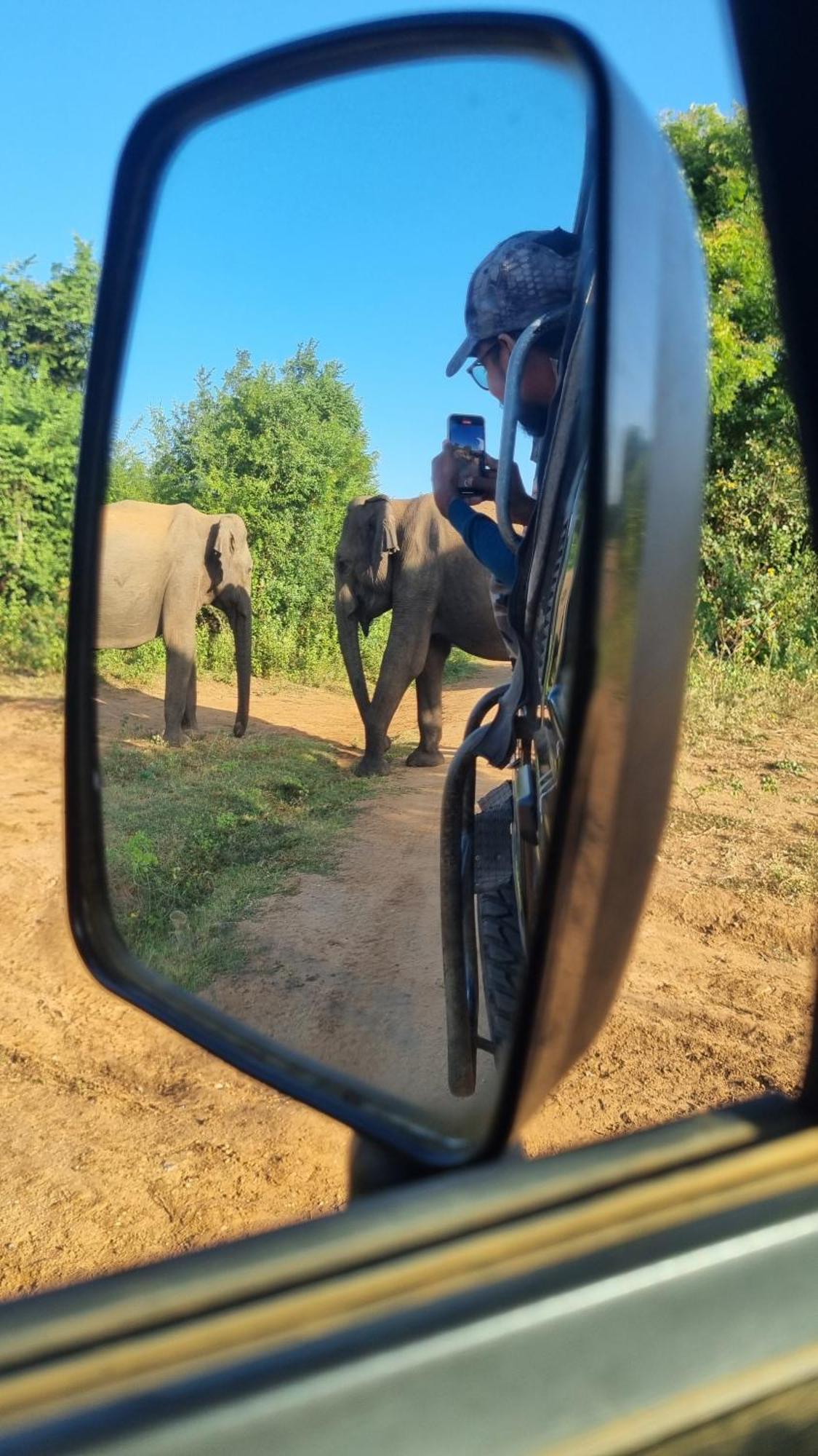 White Rose Safari Home Stay Udawalawe Zewnętrze zdjęcie